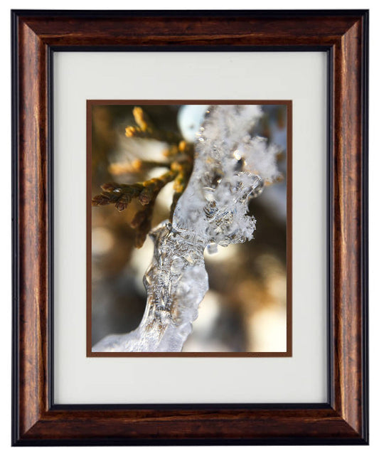 Wall Art Photography - Hardwood Wall Framed Art - Secret Paradise winter