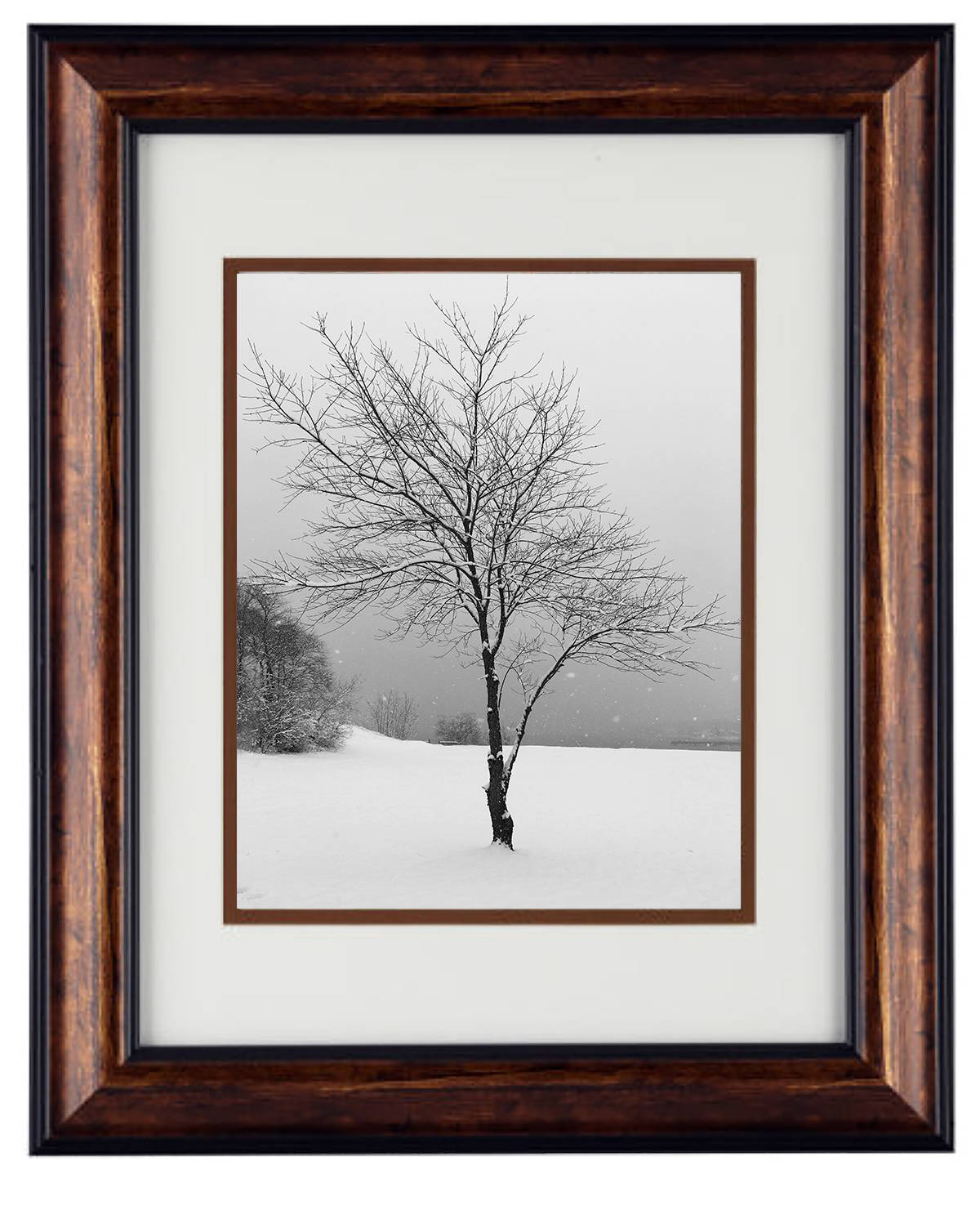 Wall Art Photography - Hardwood Wall Framed Art - Secret Paradise trees