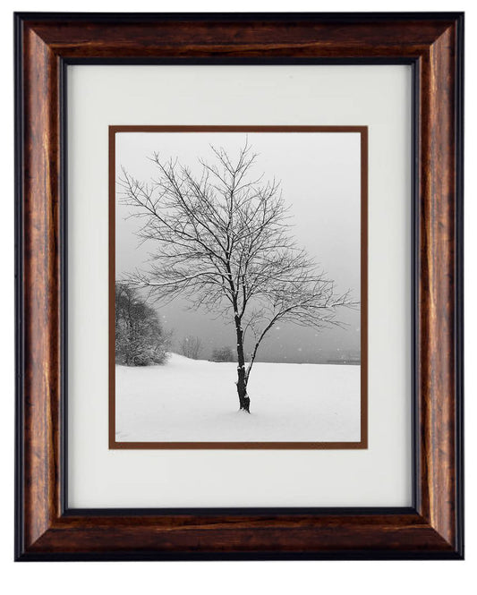 Wall Art Photography - Hardwood Wall Framed Art - Secret Paradise trees