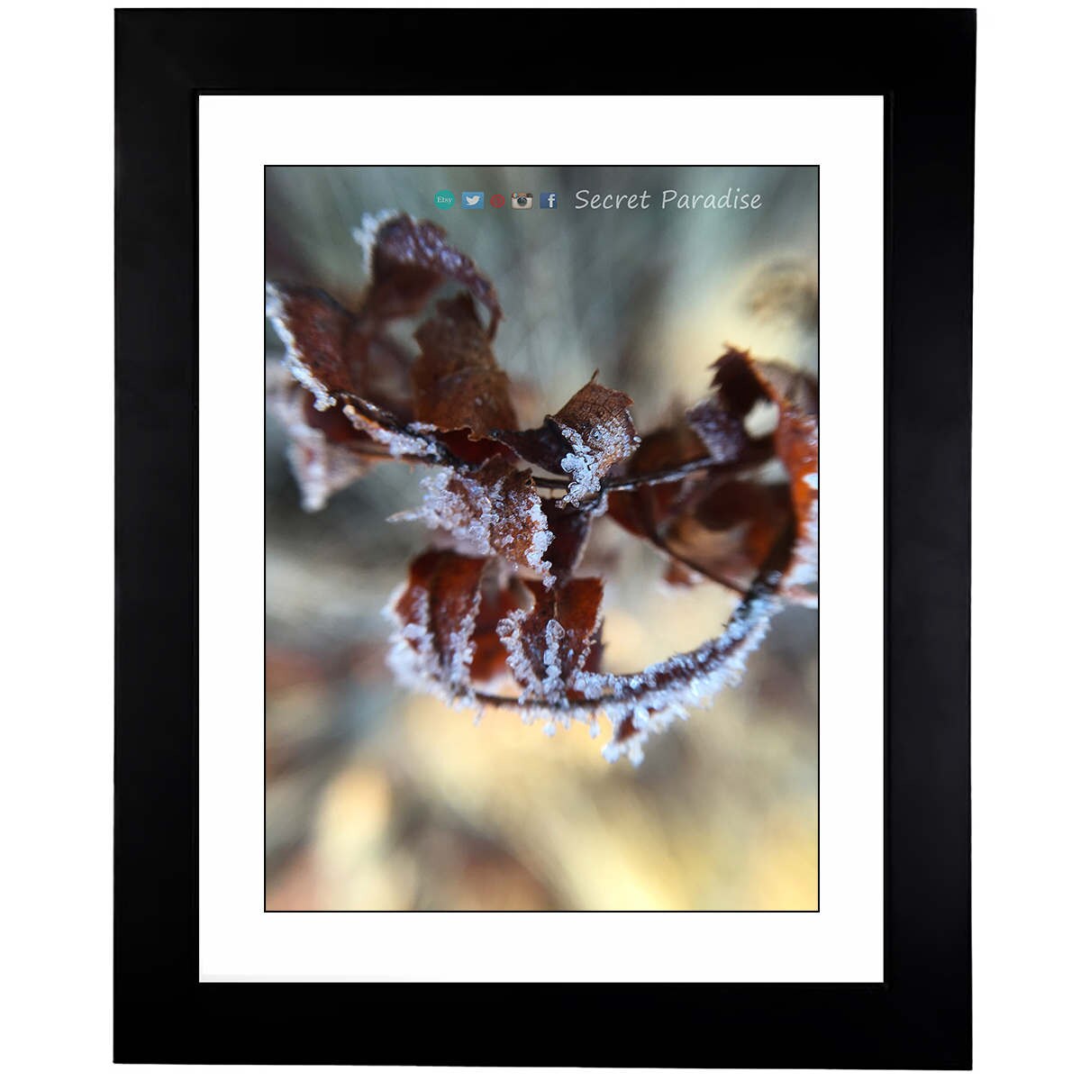 Winter Art Prints - From a Secret Paradise - Classic Blk Wall Frames