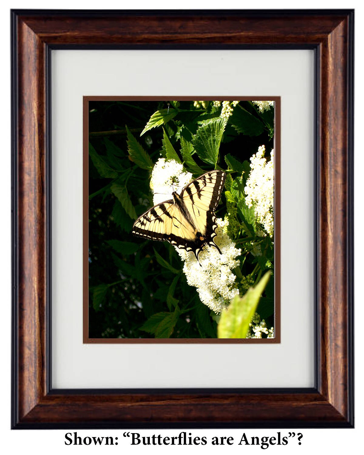 Fine Art Photography - Hardwood Wall Framed Art - Secret Paradise1