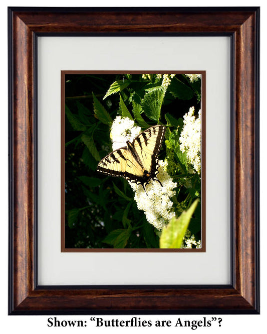 Fine Art Photography - Hardwood Wall Framed Art - Secret Paradise1
