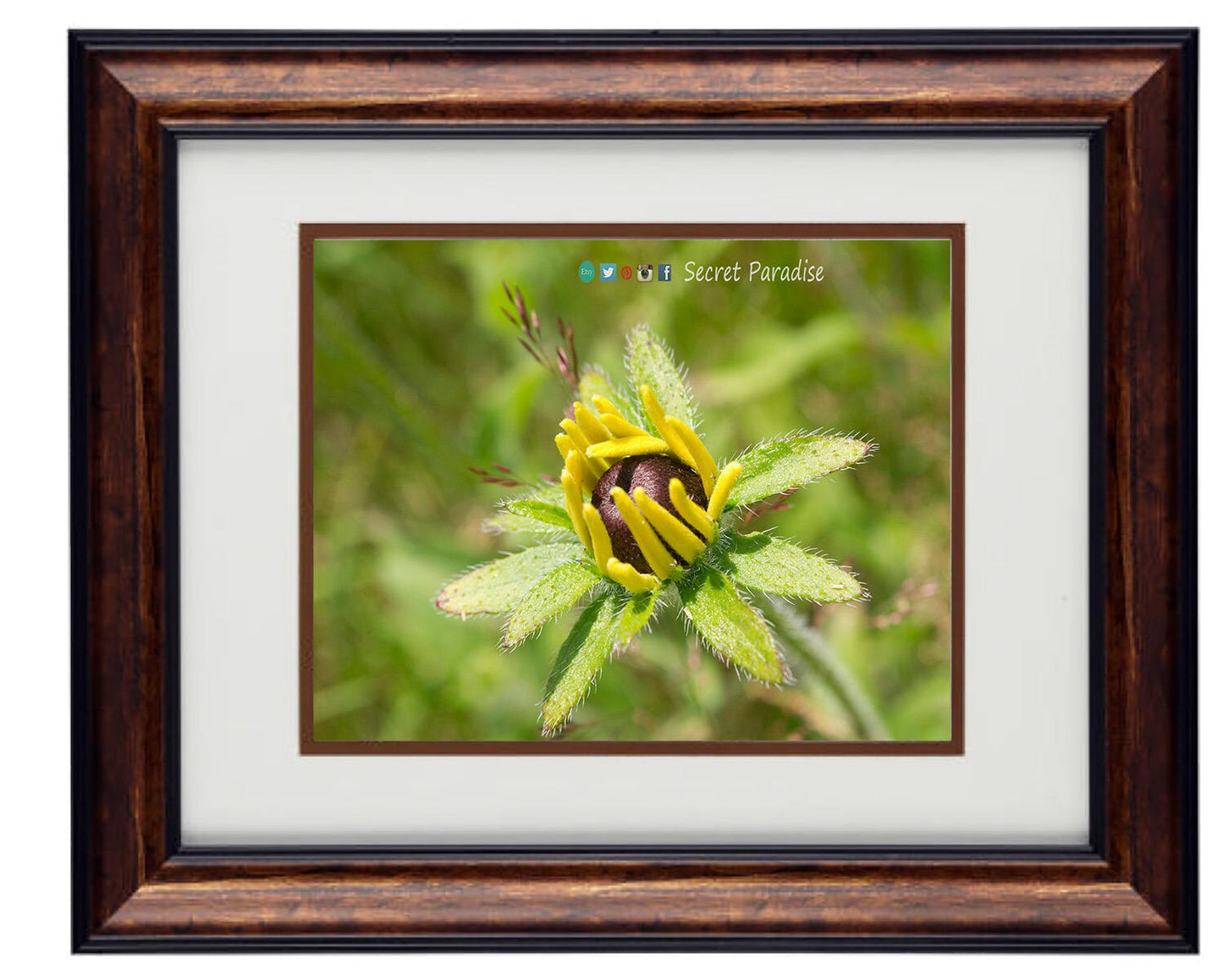 Fine Art Photography - Hardwood Wall Framed Art - Secret Paradise