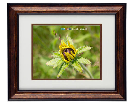 Fine Art Photography - Hardwood Wall Framed Art - Secret Paradise