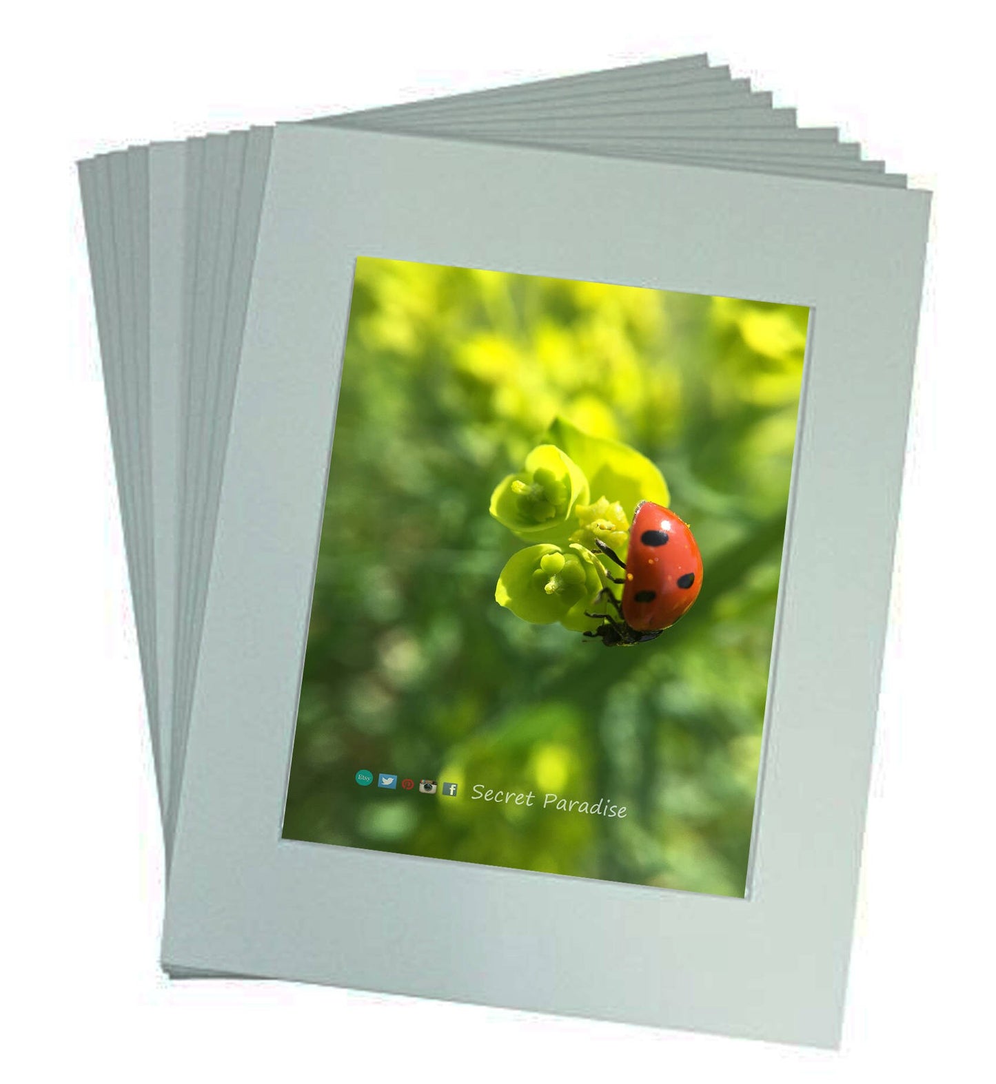 Lady Bug Print from a Secret Paradise Shop