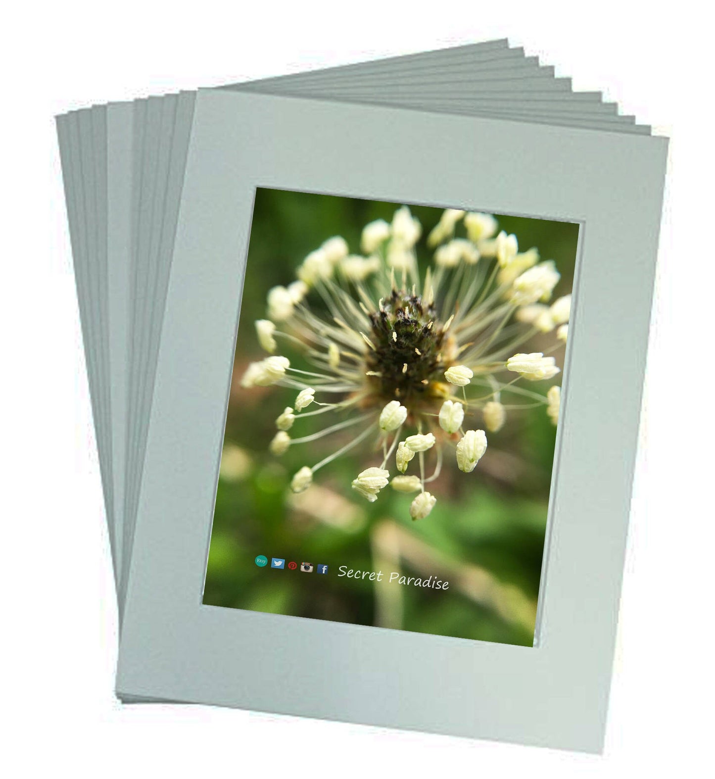 Art Prints - From a Secret Paradise - Classic Blk Wall Frames