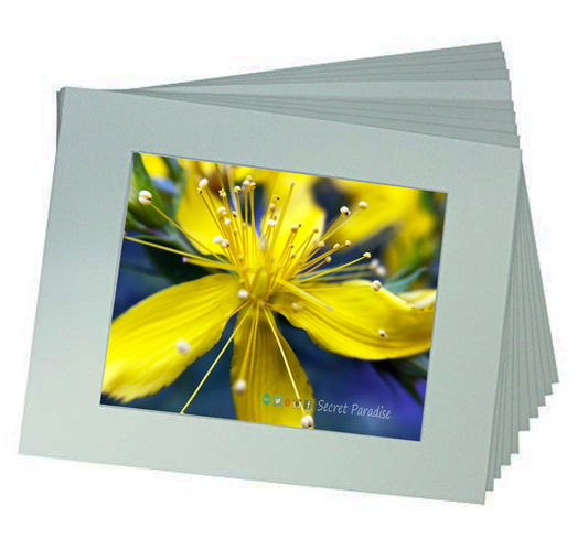 Fine Art Prints from a Secret Paradise Garden