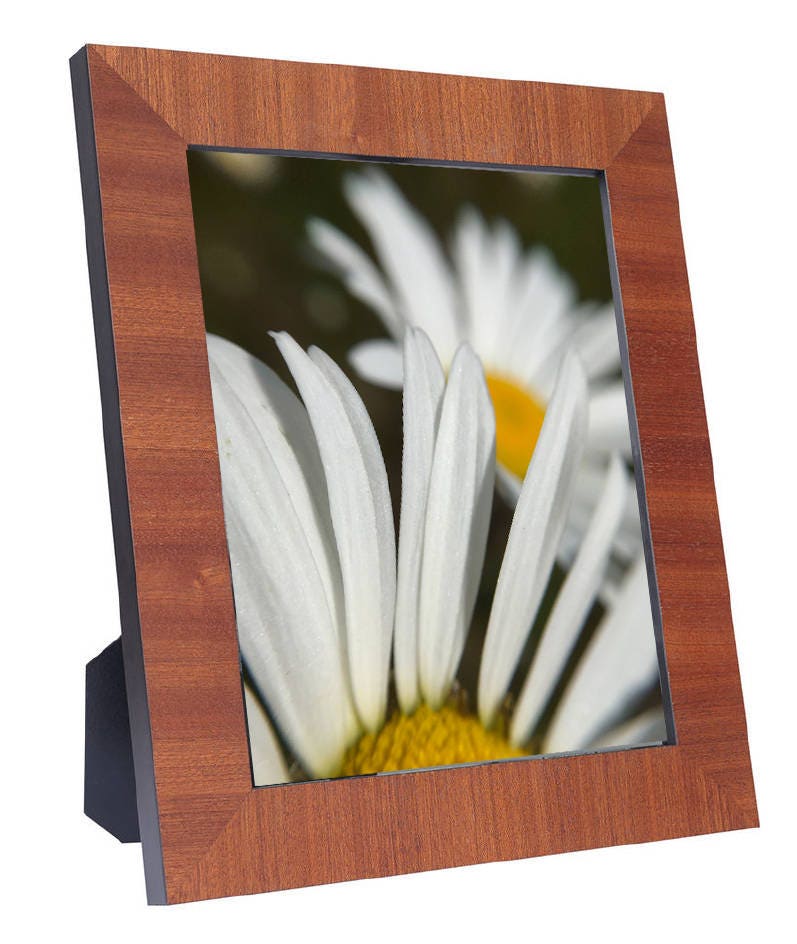 Art Prints - From a Secret Paradise - Honey brown Frames