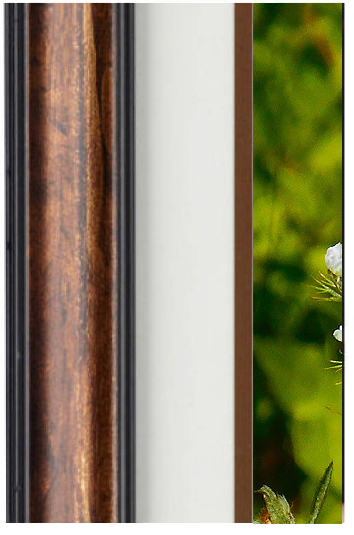 Fine Art Photography - Hardwood Wall Framed Art - Secret Paradise5