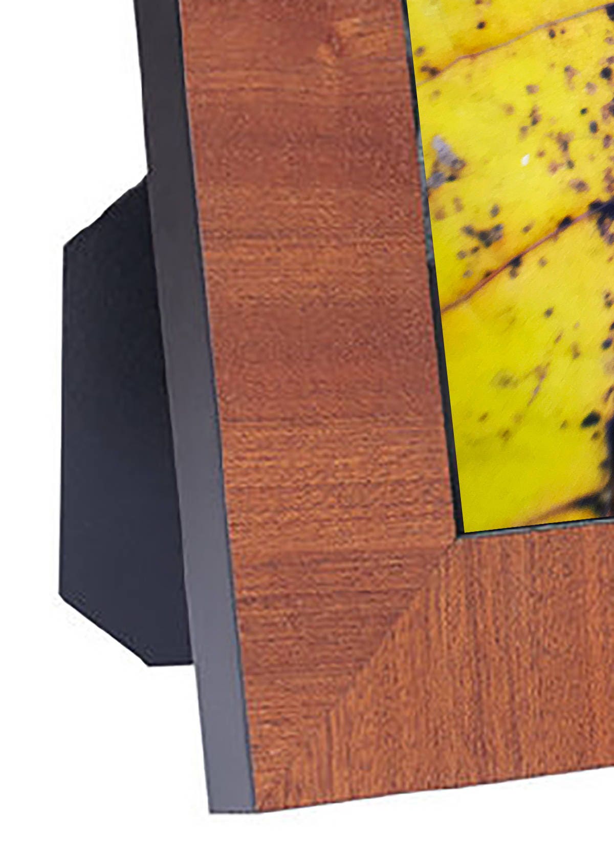 Art Prints - From a Secret Paradise - Honey brown Frames