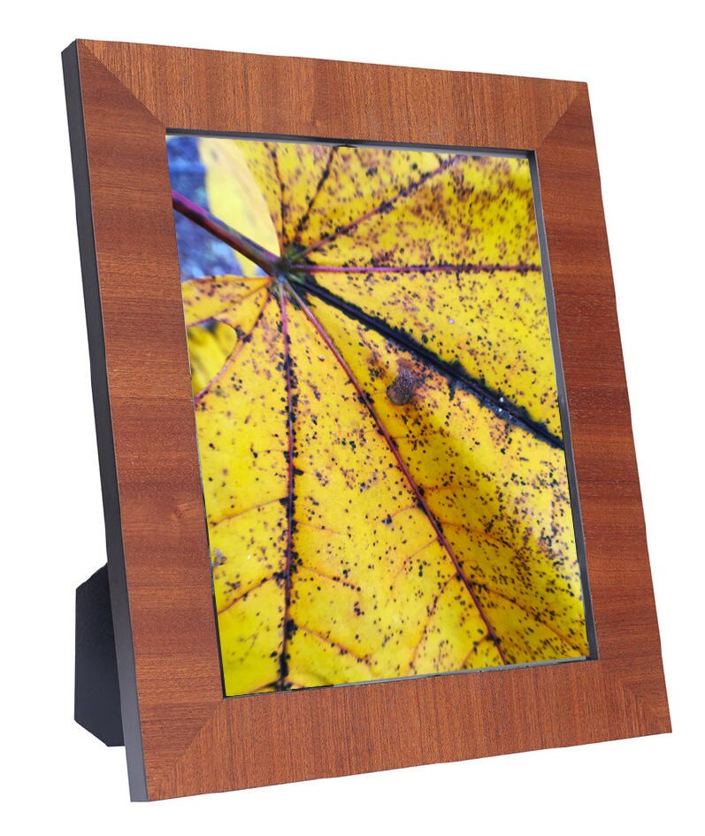 Art Prints - From a Secret Paradise - Honey brown Frames