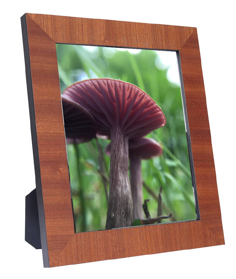 Art Prints - From a Secret Paradise - Honey brown Frames