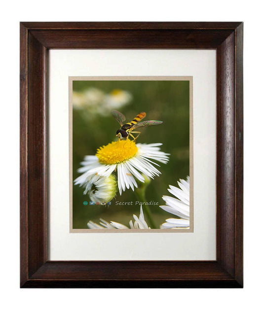 Wall Art Nature Photography - From a Secret Paradise - Walnut Framed Art
