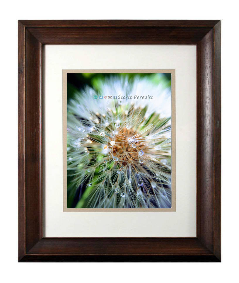 Wall Art Nature Photography - From a Secret Paradise - Walnut Framed Art