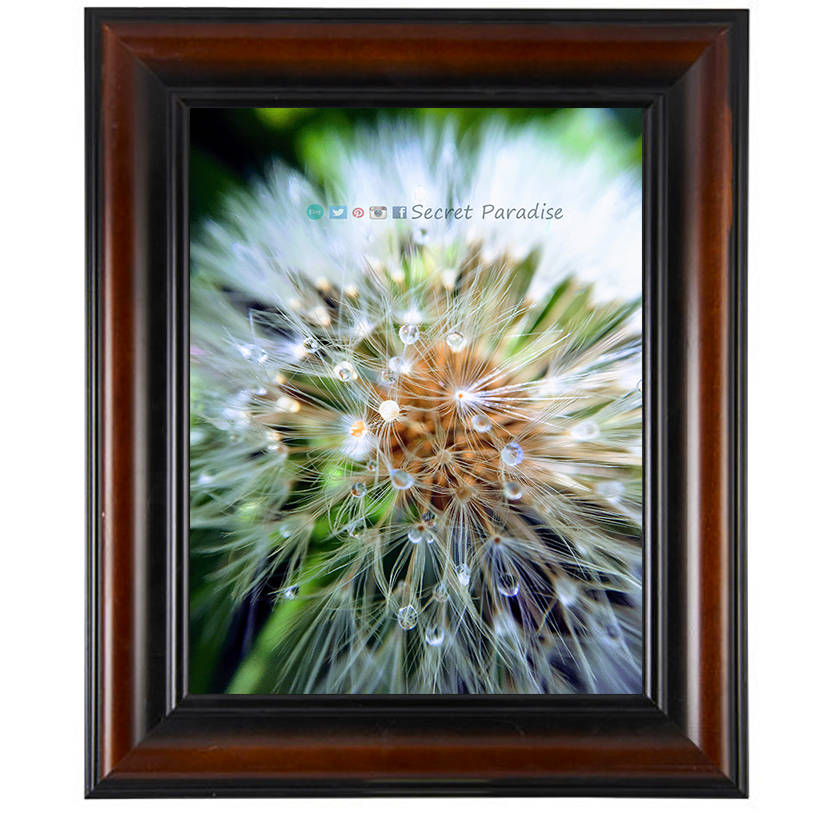 Nature Photo Art- From a Secret Paradise - Cherry Framed Art photo