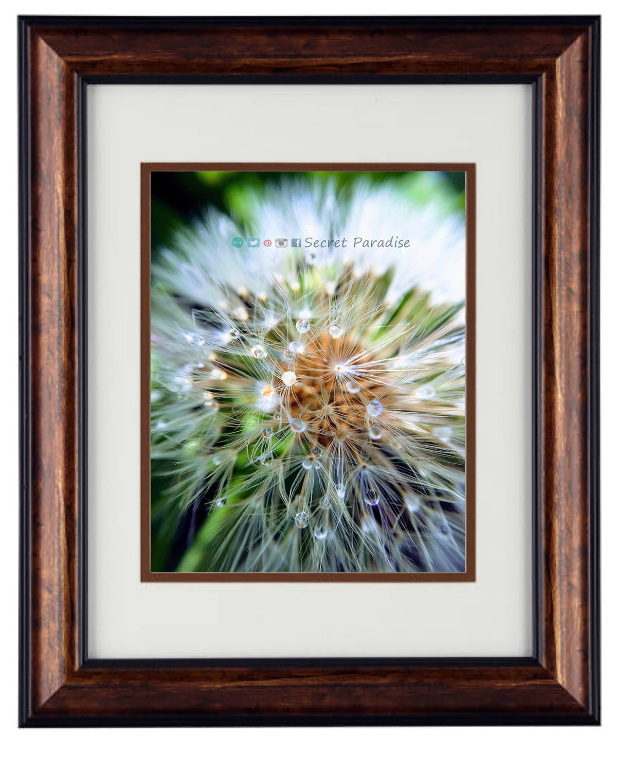 Nature Photography - Hardwood Wall Framed Art from a Secret Paradise