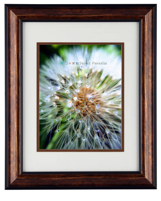 Nature Photography - Hardwood Wall Framed Art from a Secret Paradise
