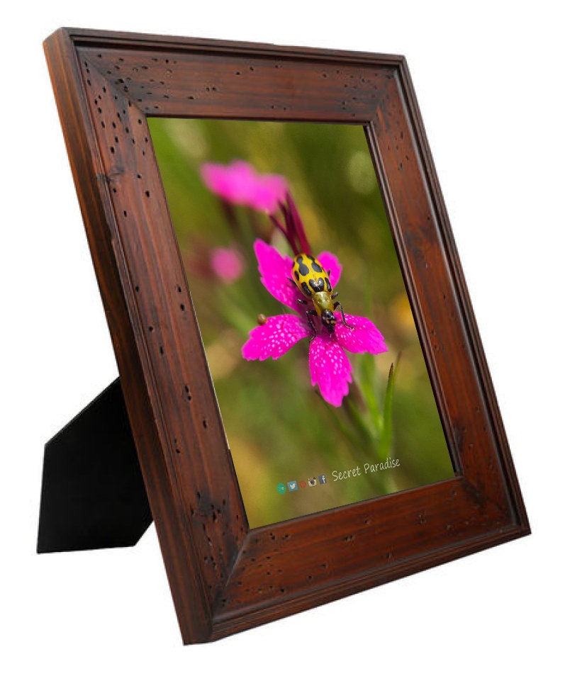 Framed Art Prints - From a Secret Paradise - Rustic Walnut
