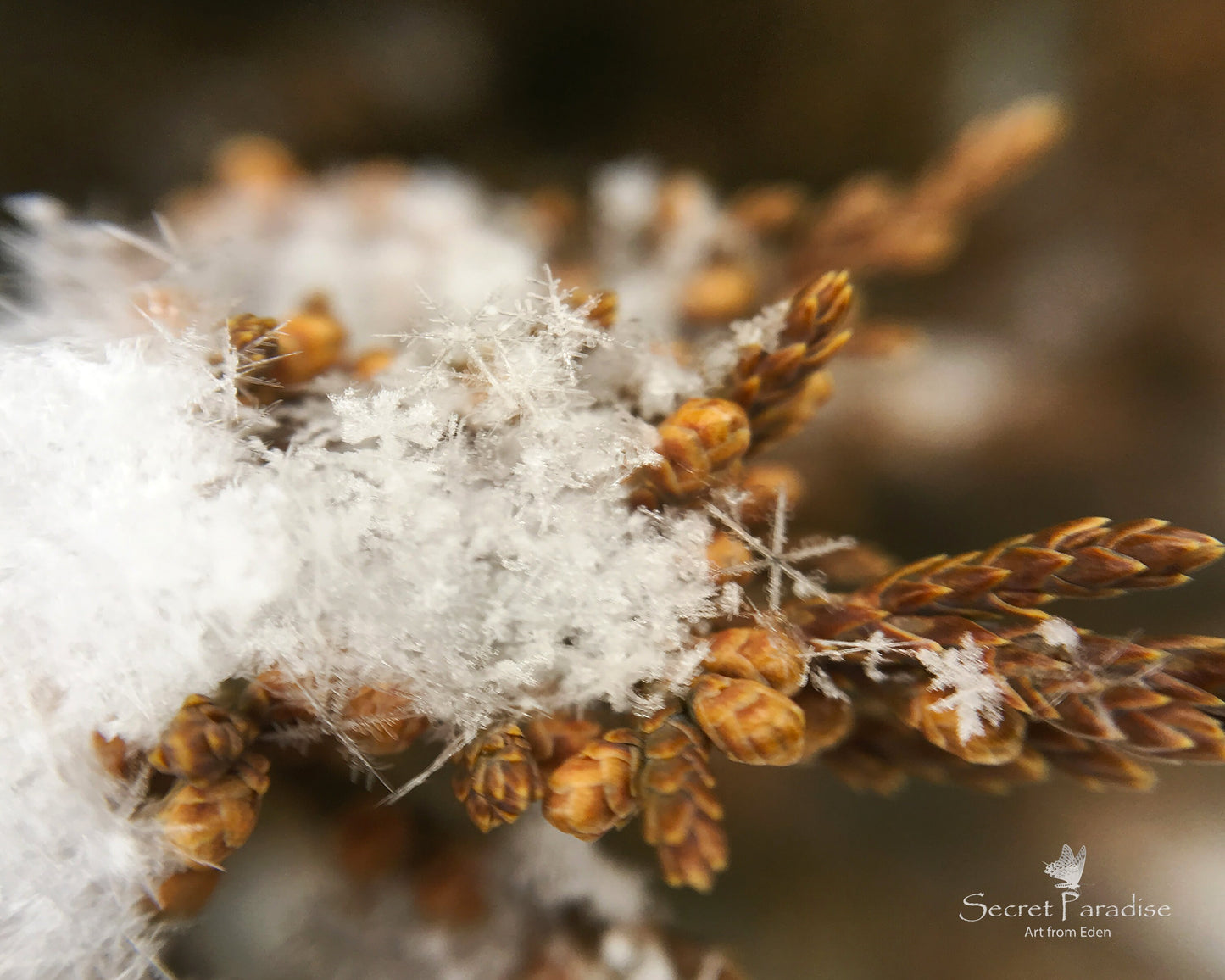 Printable Digital Art Shots -Winter
