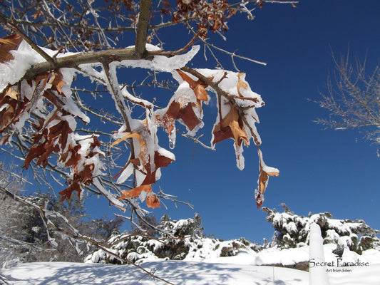 Printable Digital Art Shots -Winter