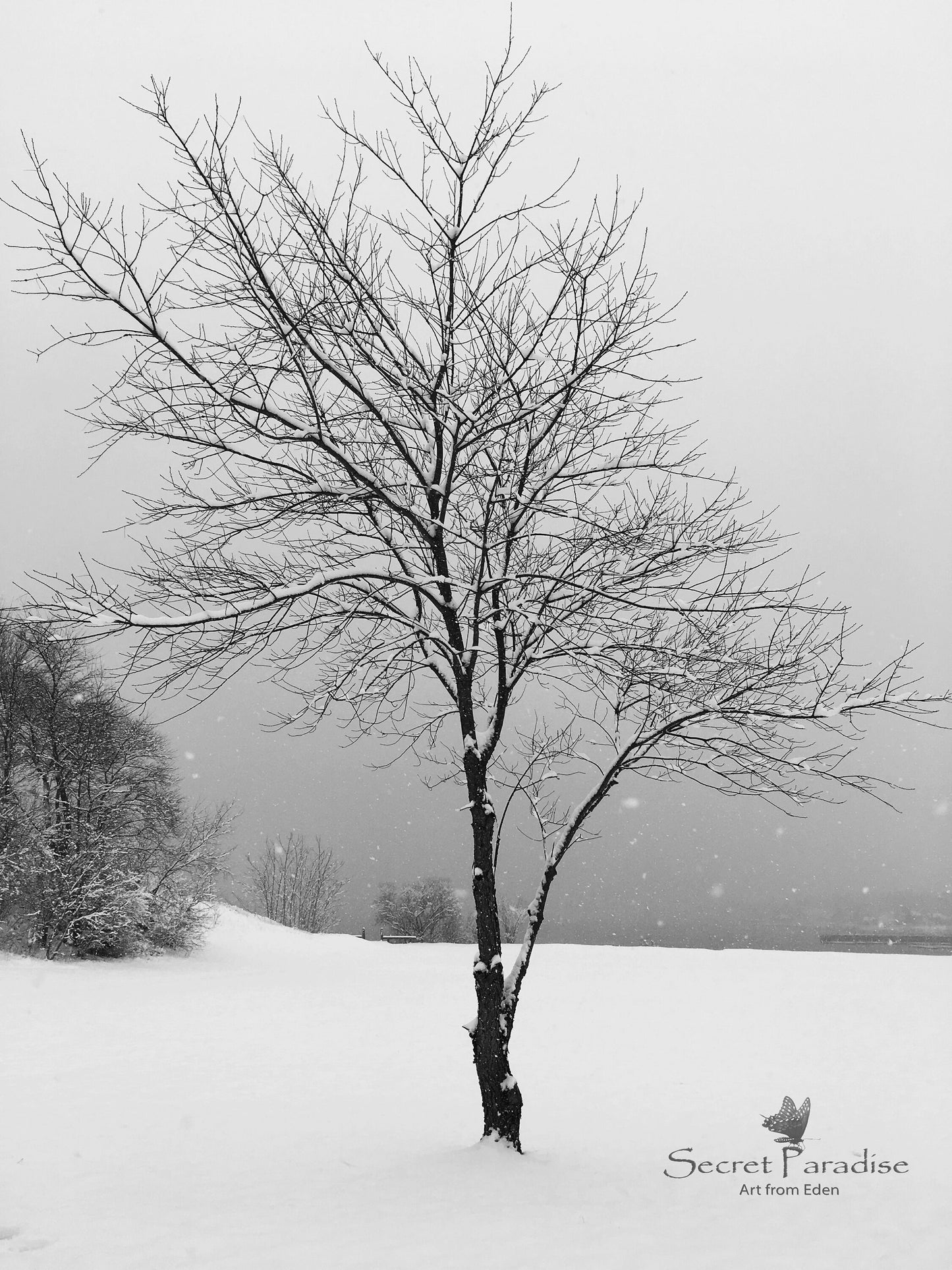 Printable Digital Art Shots -Winter
