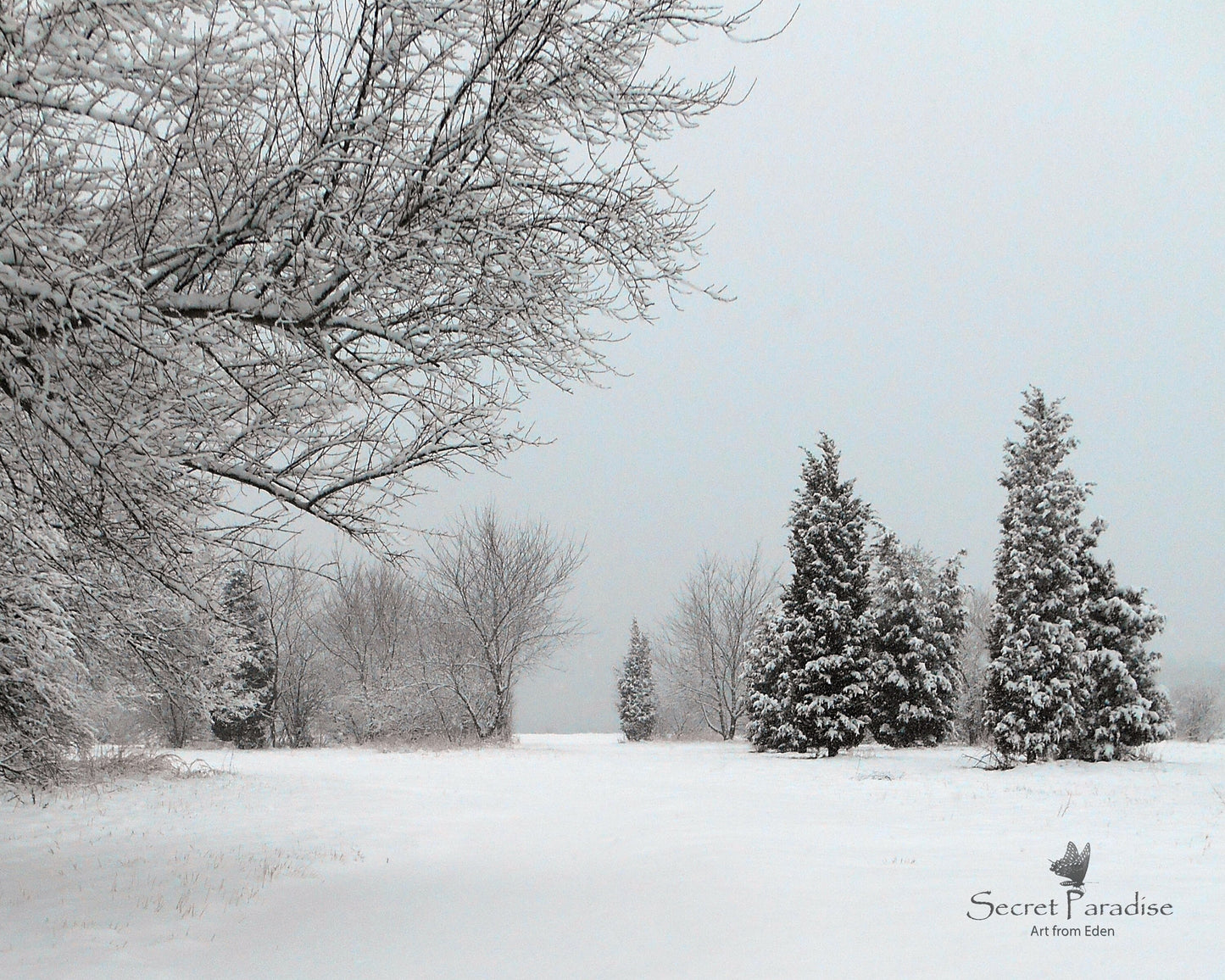 Printable Digital Art Shots -Winter
