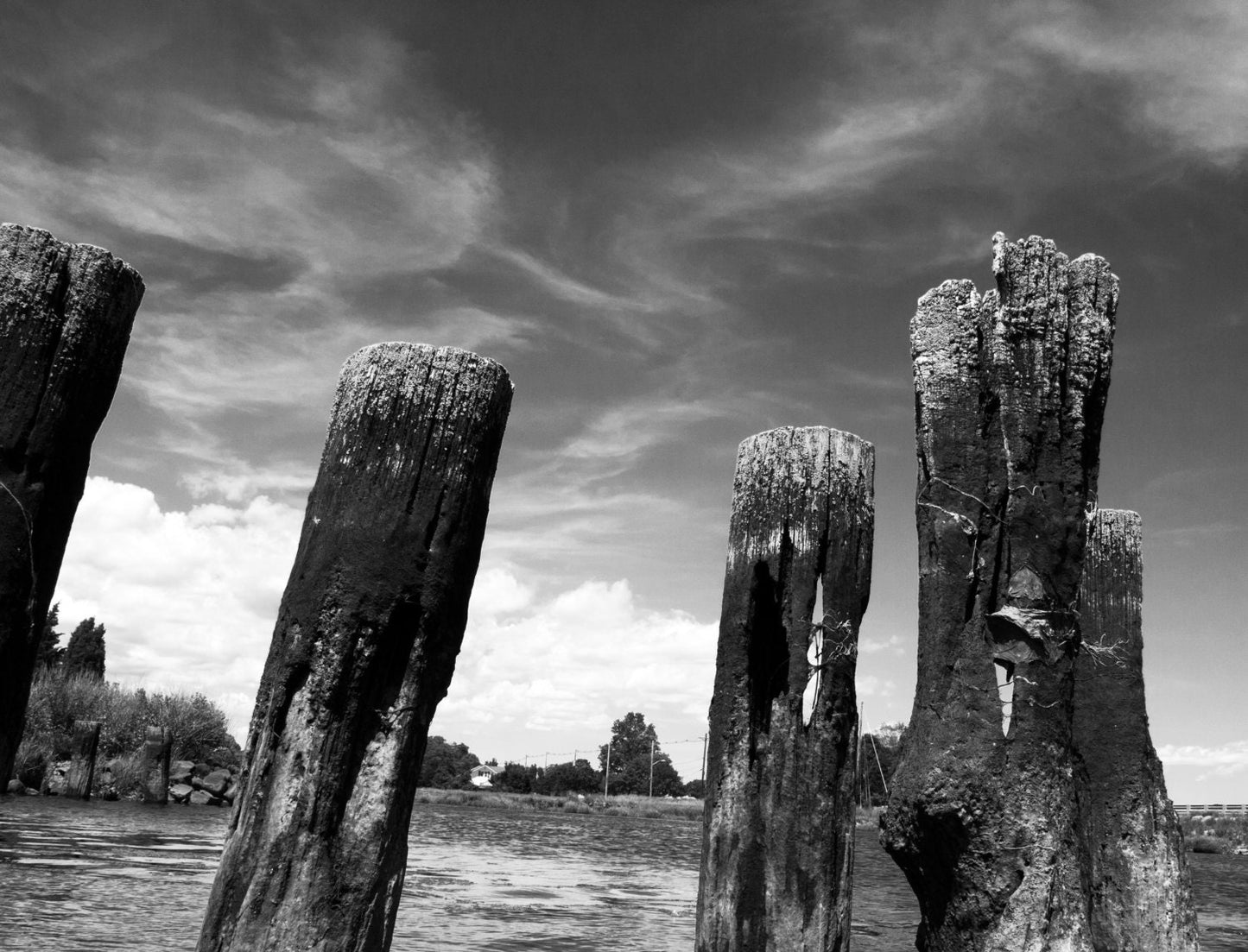 Black & White Art photography for digital download.