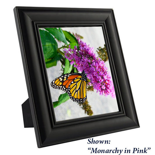 Art Print Butterfly- from a Secret Paradise - Black Wood Frames
