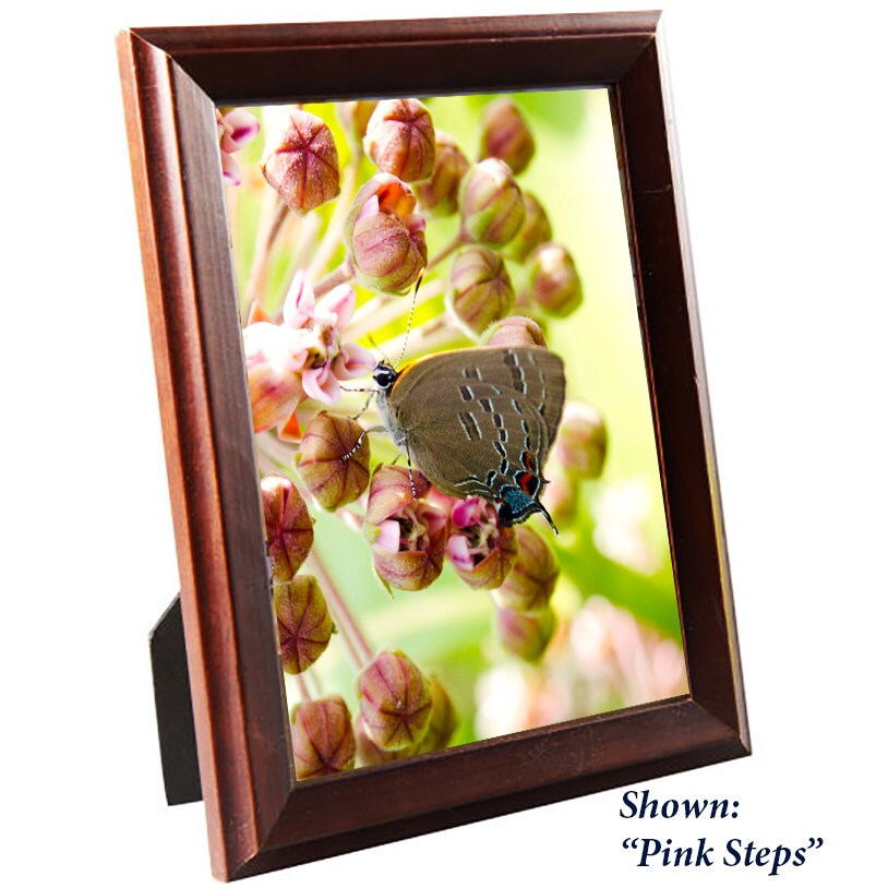 Art Prints - From a Secret Paradise - Traditional Brown Frames