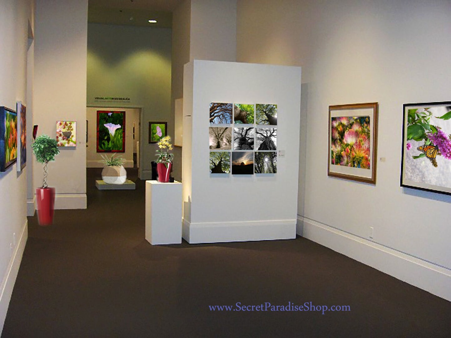 Art Prints - From a Secret Paradise - Burl Frames