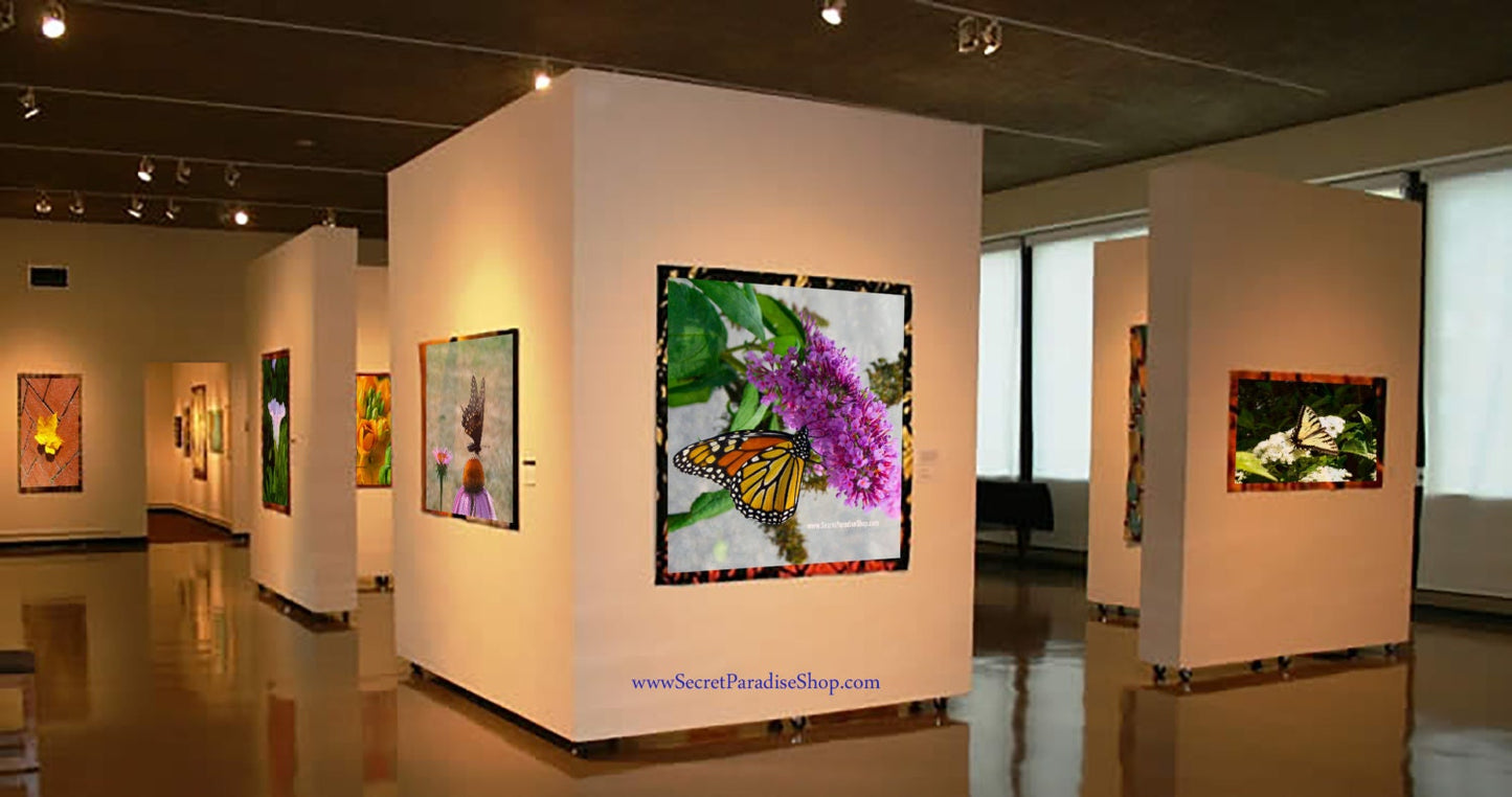Framed Art Prints - From a Secret Paradise - Cherry Wall Frames