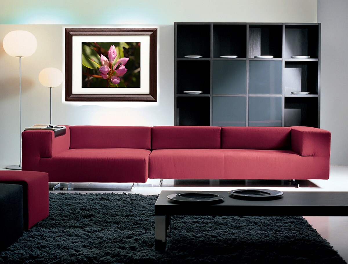 Art Prints - From a Secret Paradise - Cherry Wall Frames
