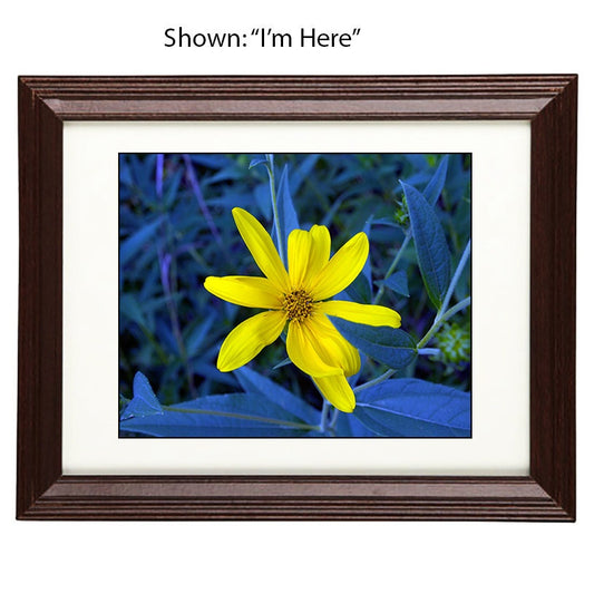 Art Prints - From a Secret Paradise - Cherry Wall Frames
