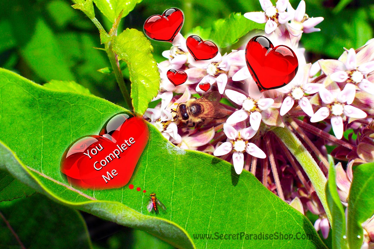 Valentine's Day is for all Lovers
