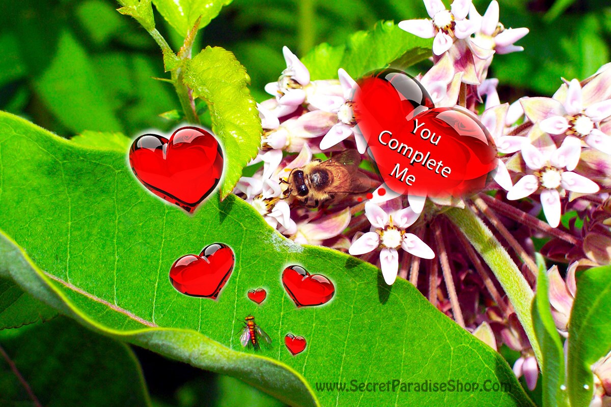 Valentine's Day is for all Lovers