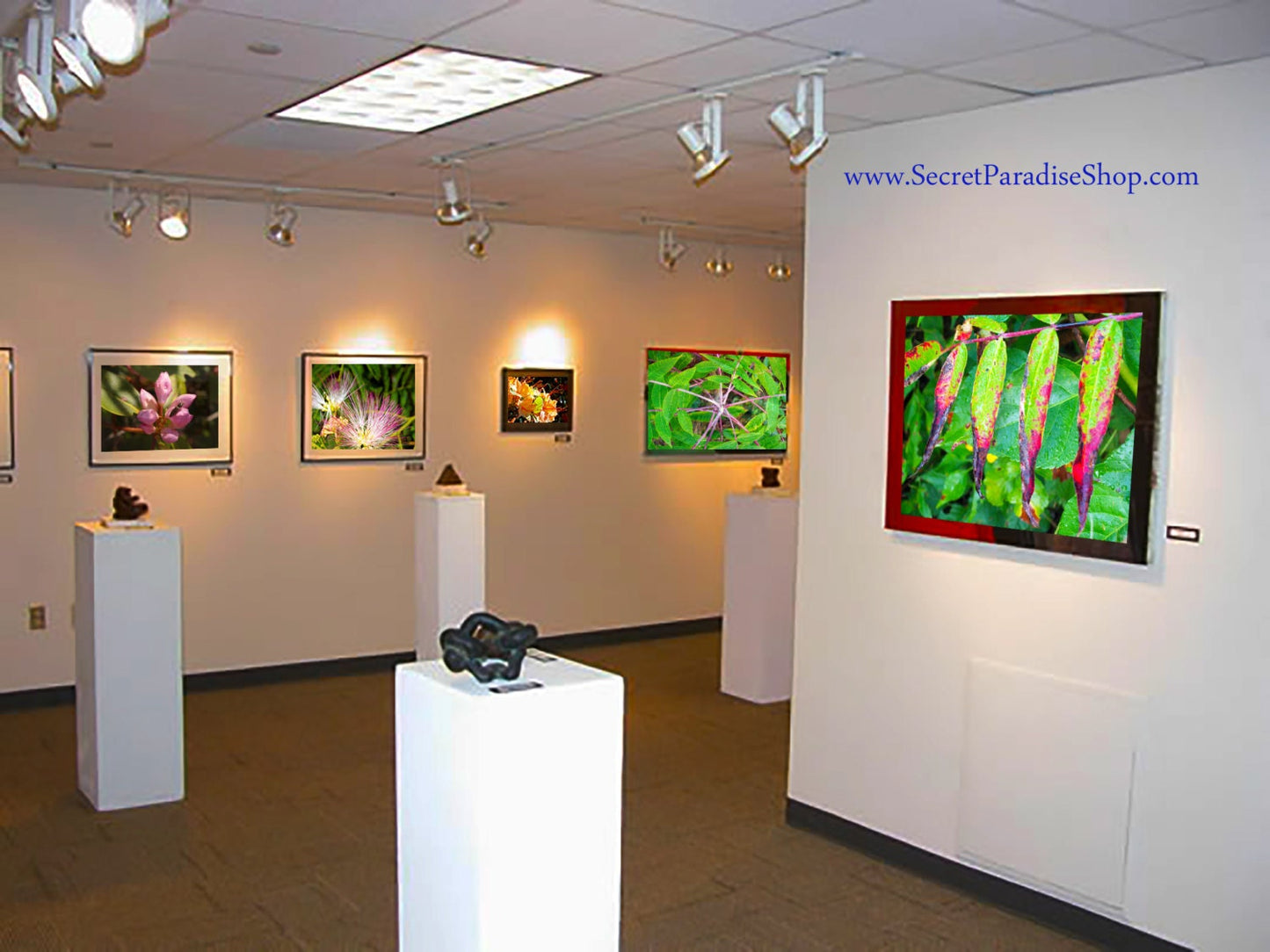 Art Prints - From a Secret Paradise - Classic Blk Wall Frames
