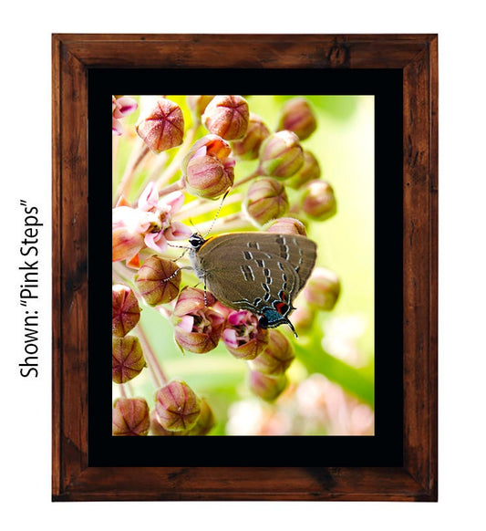 Art Prints - From a Secret Paradise - Primitive Wall Frame