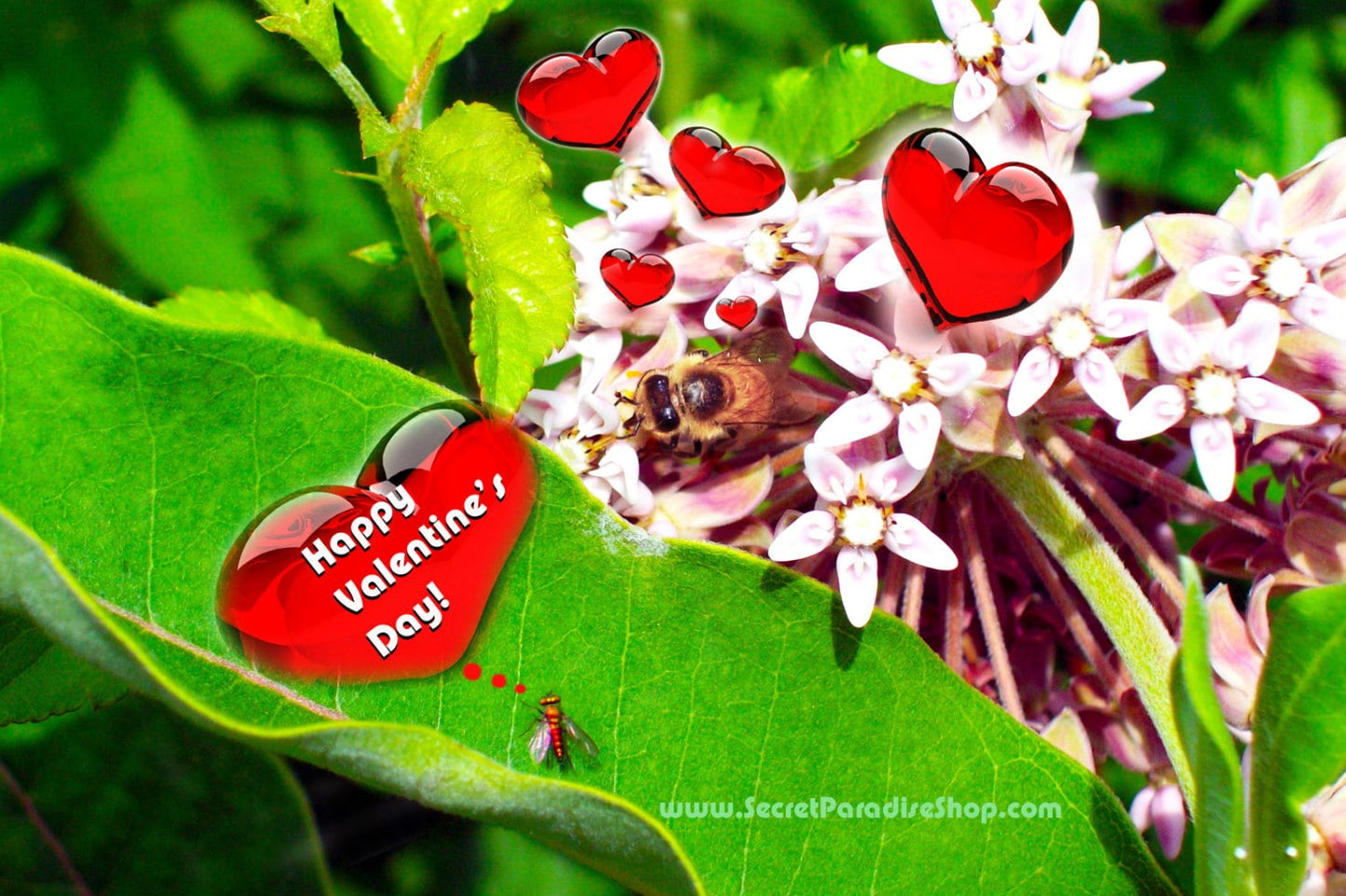 Valentine's Day is for all Lovers
