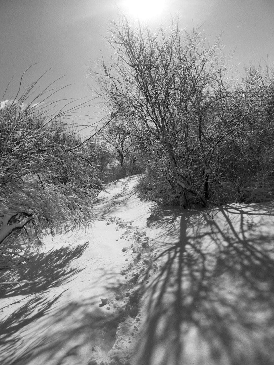 Black & White Art photography for digital download.