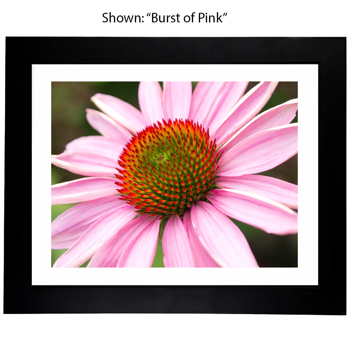 Art Prints - From a Secret Paradise - Framed Art classic balck