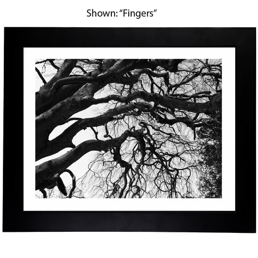 Black & White Art Photography - Trees From a Secret Paradise - Framed Art