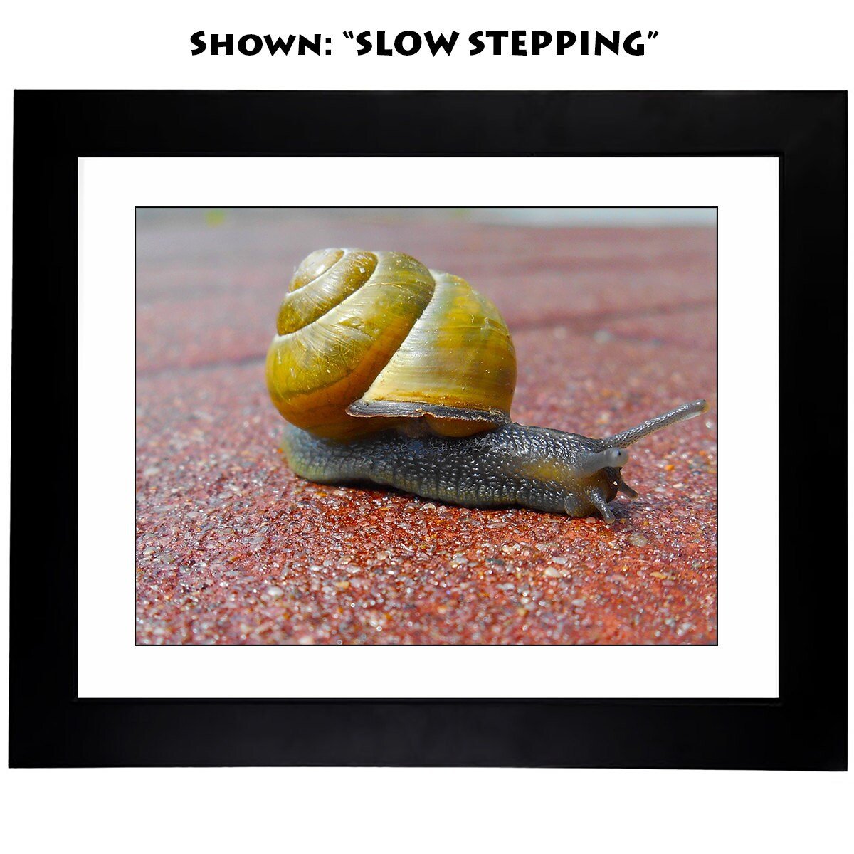 Framed Art Prints - From a Secret Paradise Garden - Little Buddies