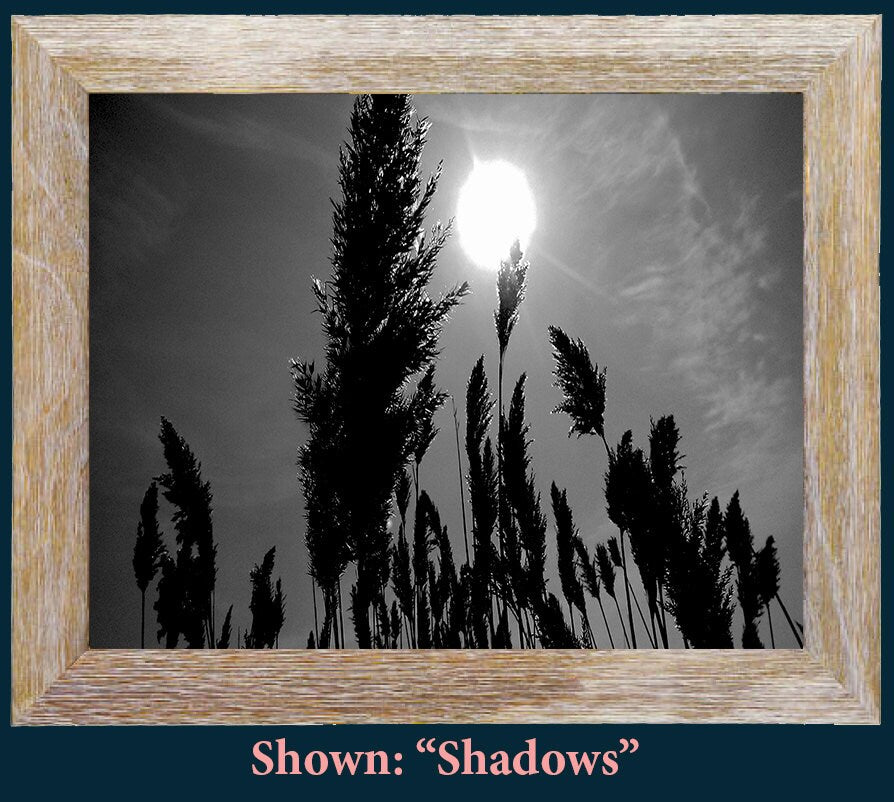Beach Art Prints - From a Secret Paradise - Barnwood Beach Wall Frame