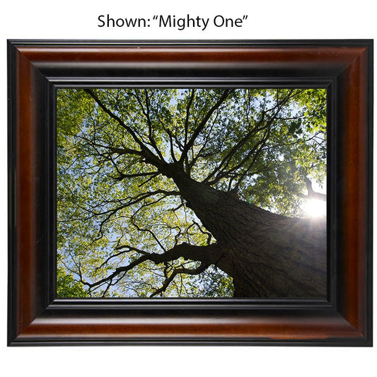 Tree Art Prints - From a Secret Paradise- Wall Frames