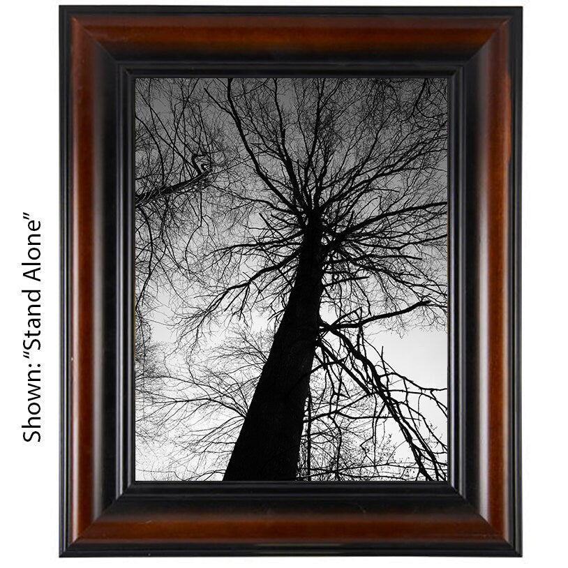 Tree Art Prints - From a Secret Paradise - Wall Frames