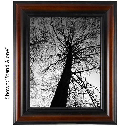 Tree Art Prints - From a Secret Paradise - Wall Frames