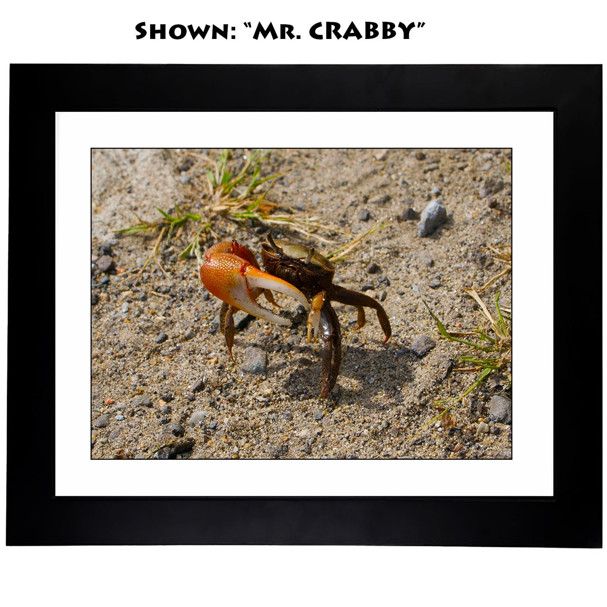 Framed Prints - From a Secret Paradise Garden