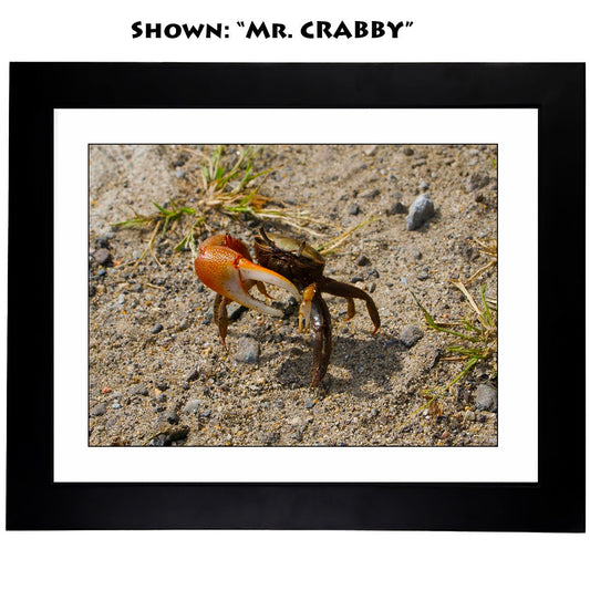 Framed Prints - From a Secret Paradise Garden