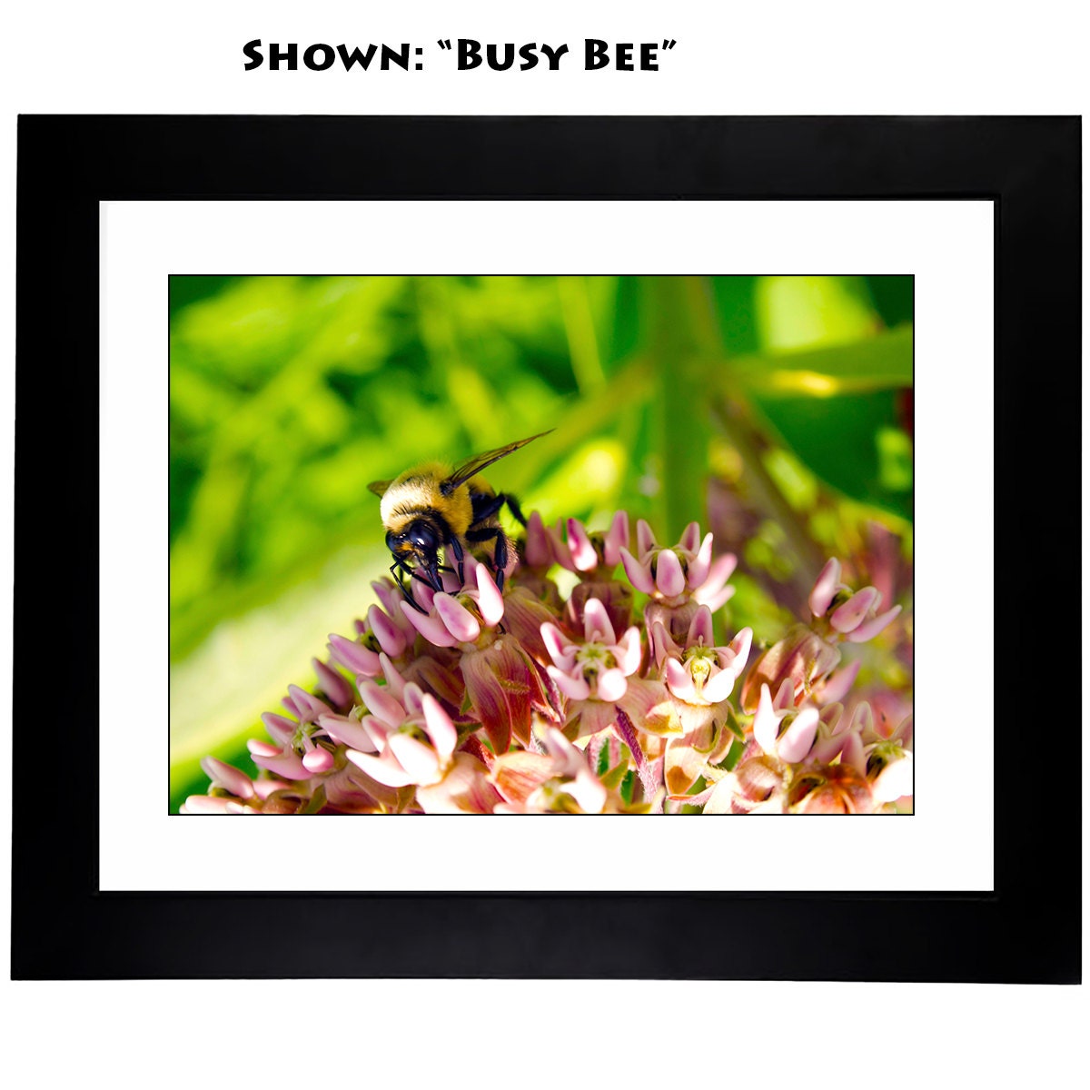 Wall Framed Art Prints - From a Secret Paradise Garden