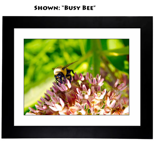 Wall Framed Art Prints - From a Secret Paradise Garden